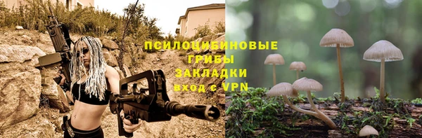 хмурый Зеленокумск