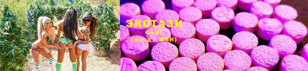 хмурый Зеленокумск