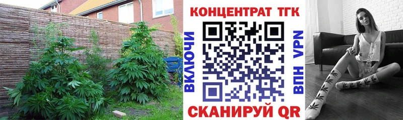 Дистиллят ТГК вейп с тгк  Купить  Прохладный 