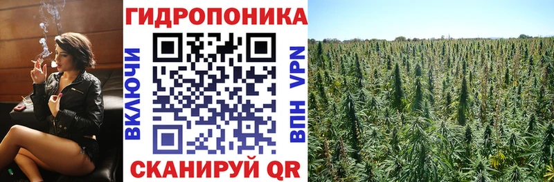 Каннабис индика Прохладный